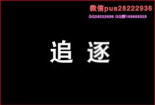 路易 追逐课程 高清版33高清视频 RSD 正宗社交力学-星星精品网