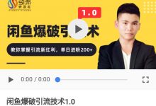 咸鱼爆品引流技术1.0-星星精品网