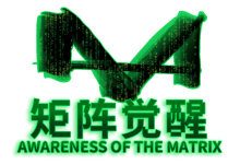 真爱之门《矩阵觉醒》-星星精品网