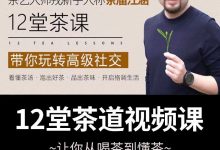 茶艺大师戎新宇《十二堂茶道视频课》-星星精品网