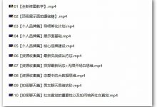 男哥内核3.0- 恋爱情商提升 初级课程-星星精品网
