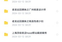 老吴2024实战聊天记录10套-星星精品网
