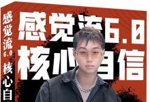 感觉流6.0：核心自信-星星精品网
