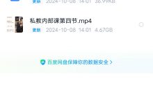 梵公子《2024私教内部课》-星星精品网