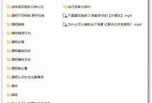 成真《开世面》-星星精品网