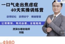 一口气走出焦虑40天实操训练营刘聪老师刘老师幸福学院-星星精品网