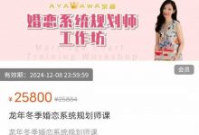 杨冰阳龙年冬季婚恋系统规划师课AYAWAWA-星星精品网