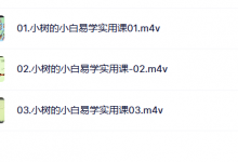 谢小树 小白易学课-星星精品网