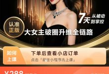 大女主社交破局5.0【163节】-星星精品网