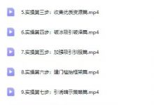 高阶私教课【一对一指导跟踪服务】（13节）-星星精品网