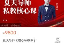 夏天导师《核心私教课》-星星精品网
