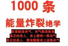 《1000‮能条‬‎量‮裂炸‬‎绝学》PDF-星星精品网